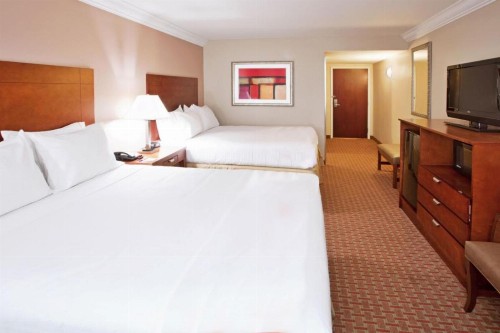 Holiday Inn Express & Suites Niagara Falls an IHG Hotel - image 21