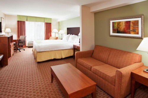 Holiday Inn Express & Suites Niagara Falls an IHG Hotel - image 28