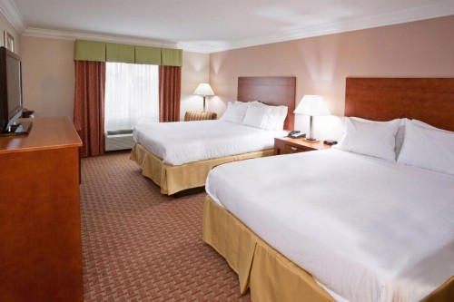 Holiday Inn Express & Suites Niagara Falls an IHG Hotel - image 32