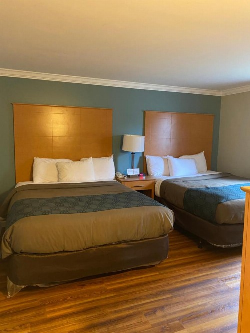 Econo Lodge at the Falls North - image 28