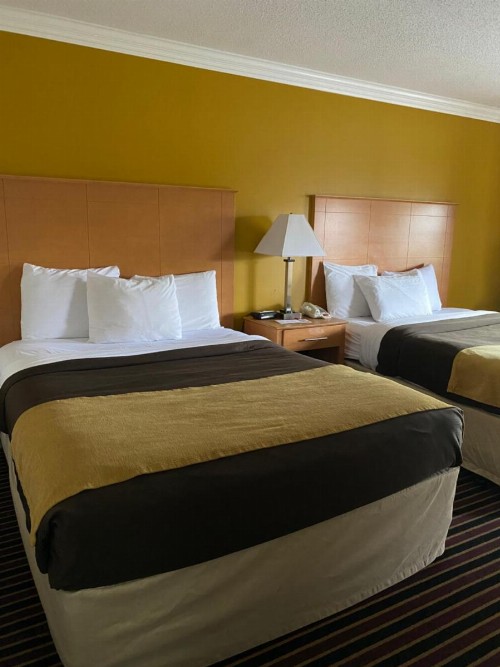 Econo Lodge at the Falls North - image 35