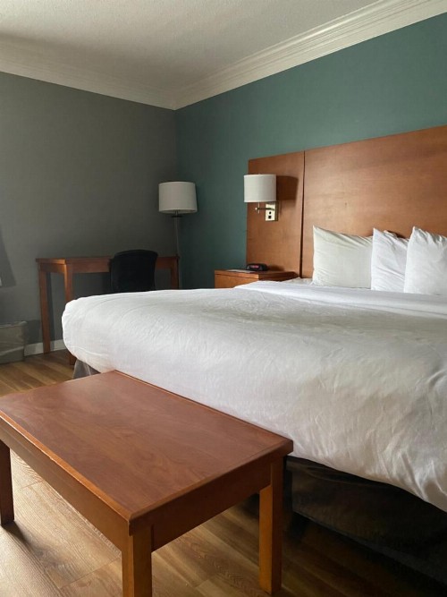 Econo Lodge at the Falls North - image 44