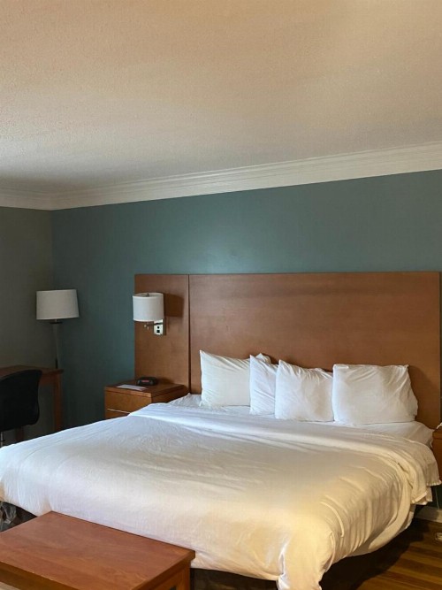 Econo Lodge at the Falls North - image 45