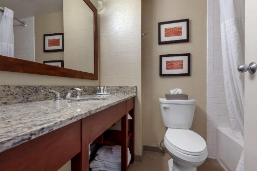 Comfort Inn The Pointe - image 21