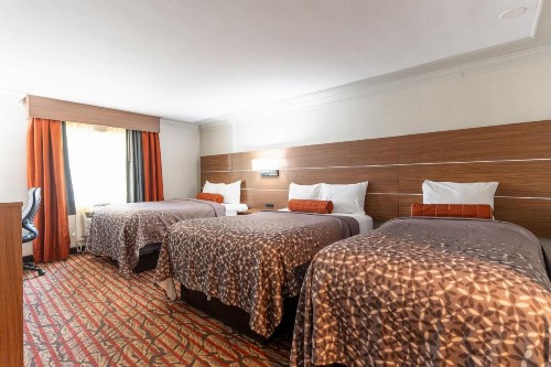Kalika Hotel - image 10