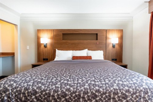 Kalika Hotel - image 3