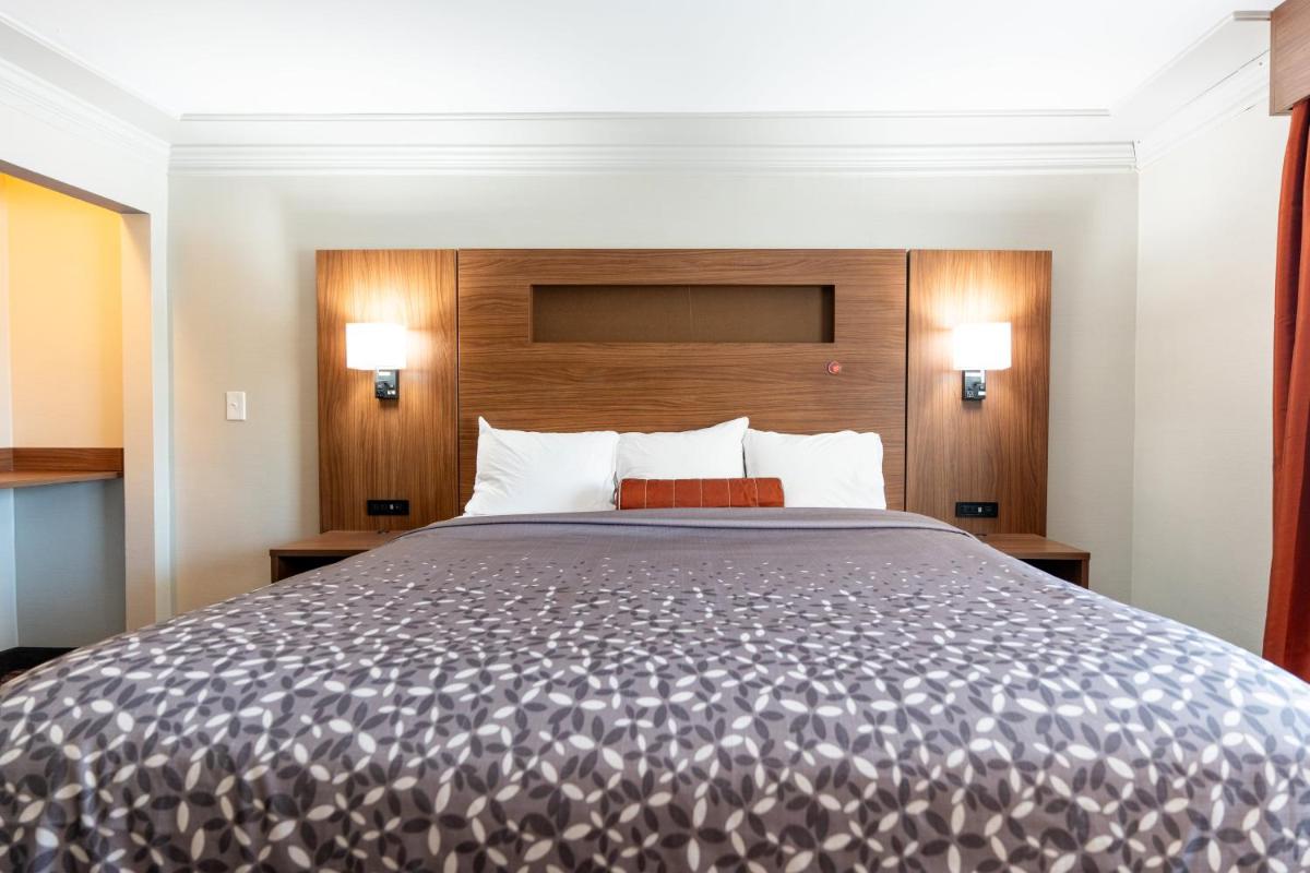 Kalika Hotel - image 3