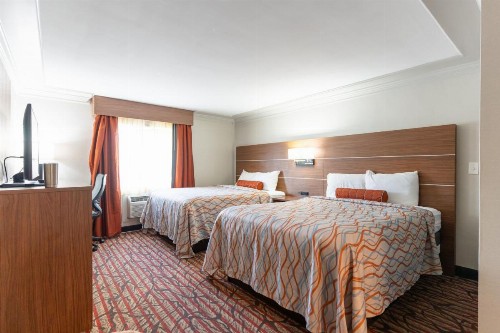 Kalika Hotel - image 6