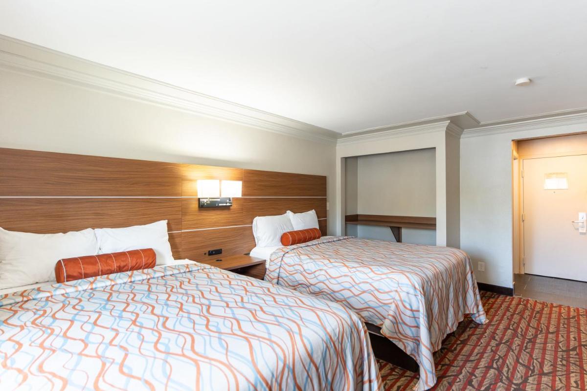Kalika Hotel - image 7