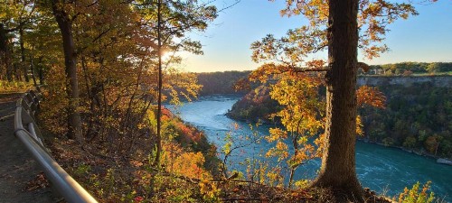 Wyndham Garden at Niagara Falls - image 22