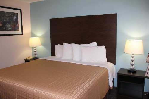 Sterling Inn near IAG Airport - image 10