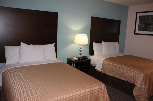 Sterling Inn near IAG Airport - image 12