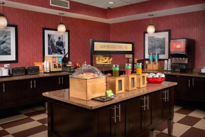 Hampton Inn Niagara Falls - image 14