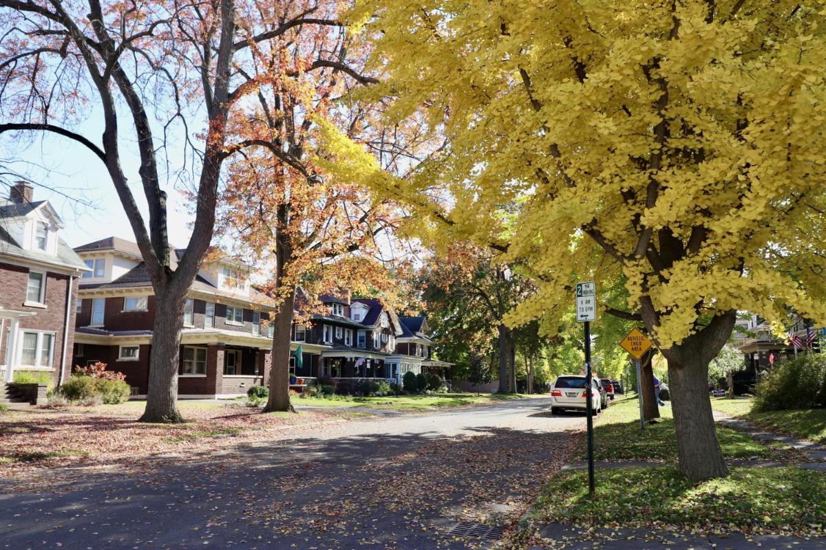 The Butler House Bed & Breakfast - image 3