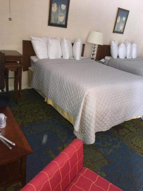 Anchor Motel - image 43