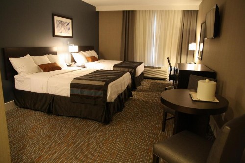 Wingate by Wyndham Niagara Falls - image 31