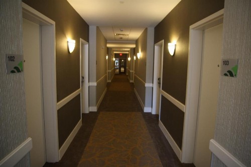 Wingate by Wyndham Niagara Falls - image 44