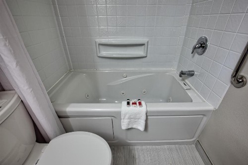 Microtel Inn & Suites by Wyndham Niagara Falls - image 21