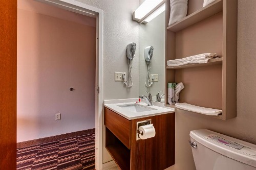 Microtel Inn & Suites by Wyndham Niagara Falls - image 30
