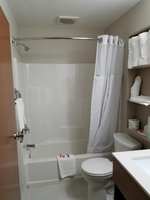 Microtel Inn & Suites by Wyndham Niagara Falls - image 40