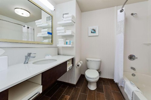 Hampton Inn Niceville-Elgin Air Force Base - image 8