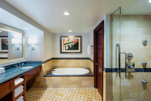 Sheraton Norfolk Waterside Hotel - image 11