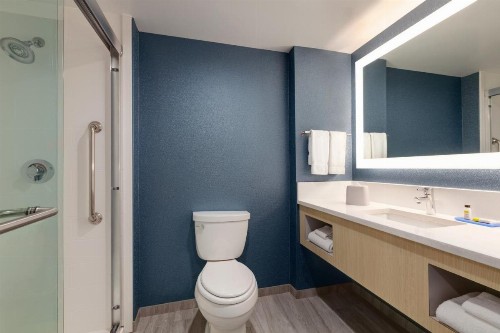 Holiday Inn Express Hotel & Suites Norfolk Airport an IHG Hotel - image 39