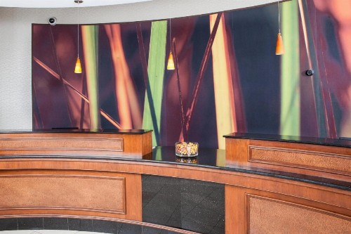 SpringHill Suites by Marriott Norfolk Virginia Beach - image 5