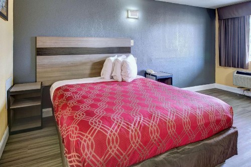 Econo Lodge at Military Circle - image 16