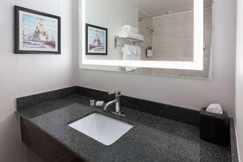 Wyndham Garden Norfolk Downtown - image 7
