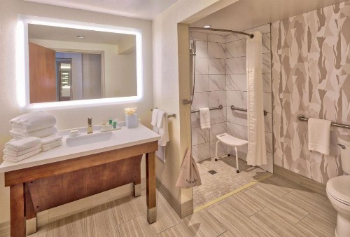 Hilton Norfolk The Main - image 19