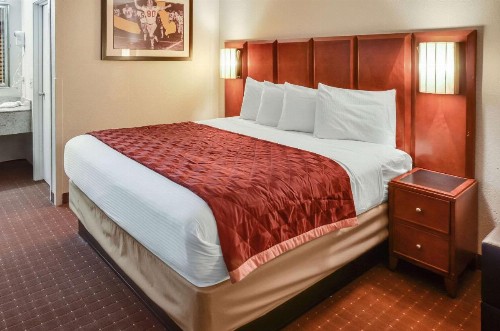 Rodeway Inn North Charleston - image 14
