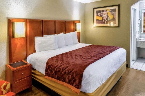 Rodeway Inn North Charleston - image 18