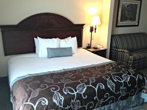 Wingate by Wyndham Charleston Southern University - image 22