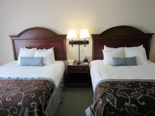 Wingate by Wyndham Charleston Southern University - image 24