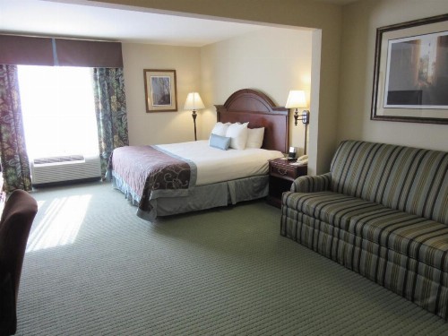 Wingate by Wyndham Charleston Southern University - image 25