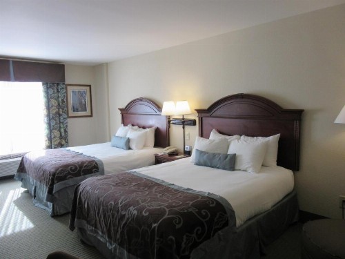 Wingate by Wyndham Charleston Southern University - image 3