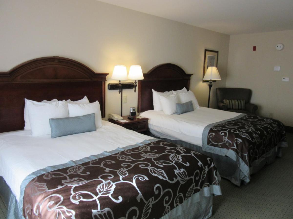 Wingate by Wyndham Charleston Southern University - image 6