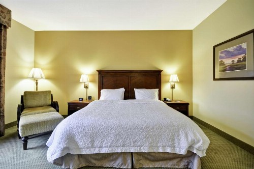 Hampton Inn & Suites North Charleston-University Boulevard - image 17