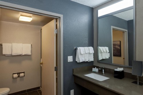 Courtyard by Marriott North Charleston Airport Coliseum - image 5