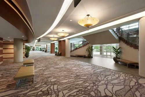Embassy Suites North Charleston Airport Hotel Convention - image 6