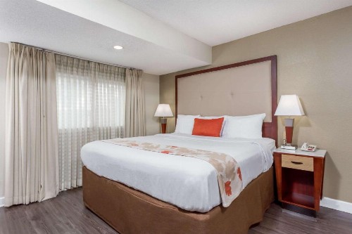 Hawthorn Suites By Wyndham North Charleston - image 24