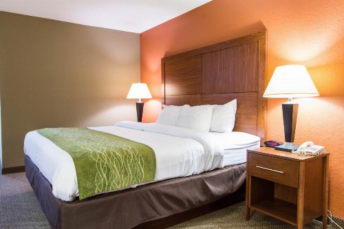 Comfort Inn & Suites Convention Center - image 10
