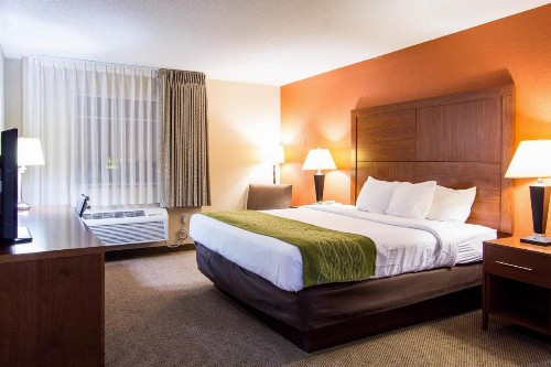 Comfort Inn & Suites Convention Center - image 13
