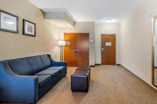 Comfort Inn & Suites Convention Center - image 16