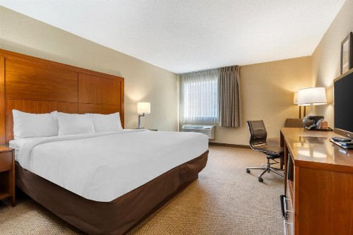 Comfort Inn & Suites Convention Center - image 2