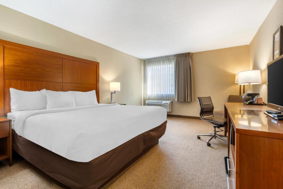 Comfort Inn & Suites Convention Center - image 2
