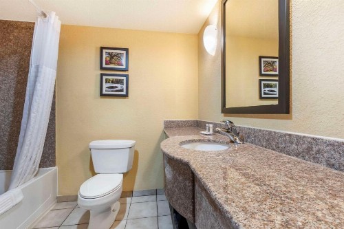 Comfort Inn & Suites Convention Center - image 26