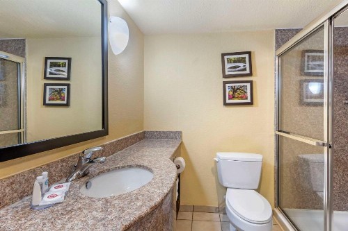 Comfort Inn & Suites Convention Center - image 28