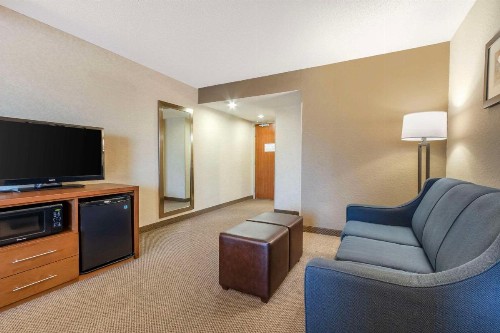 Comfort Inn & Suites Convention Center - image 29